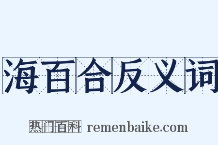 海百合反义词是什么意思的图片